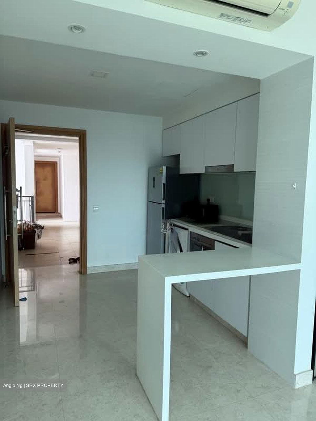 Eight Riversuites (D12), Condominium #597319231
